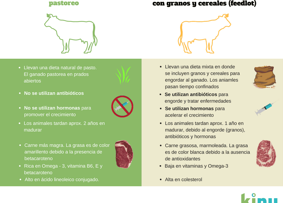 ¿Comer o no comer carne? Carnes naturales vs. Convencionales