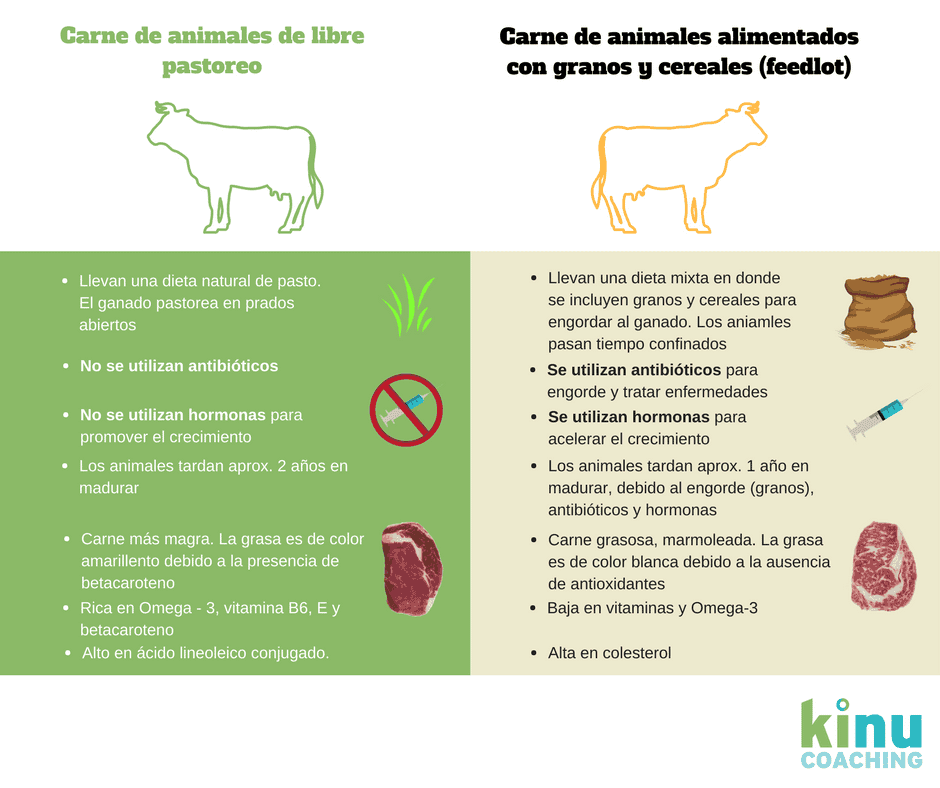 ¿Comer o no comer carne? Carnes naturales vs. Convencionales 1