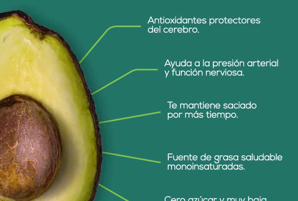 Los beneficios de incluir la palta en tu dieta