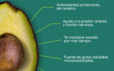 Los beneficios de incluir la palta en tu dieta